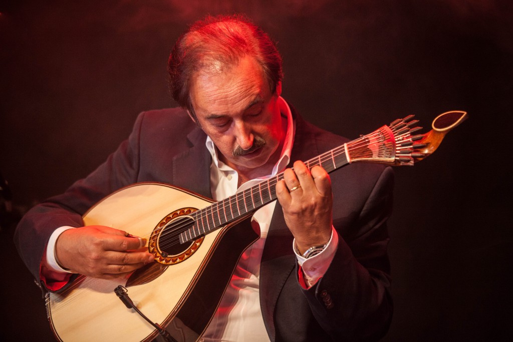 Foto - Mário Pacheco.jpg